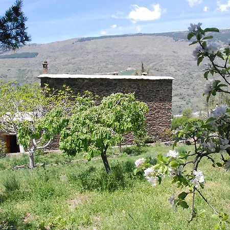 Cortijo Los Castanos Holiday home *